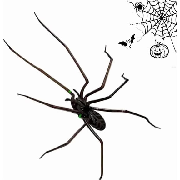 3D Realistic Spider Fridge Magnet, Cute Spider Design Decoration, Flexible Legs & Super Strong Adhesive for Halloween Decor, Pranks,Durable and Lifelike Design, Easy to Use (Black)