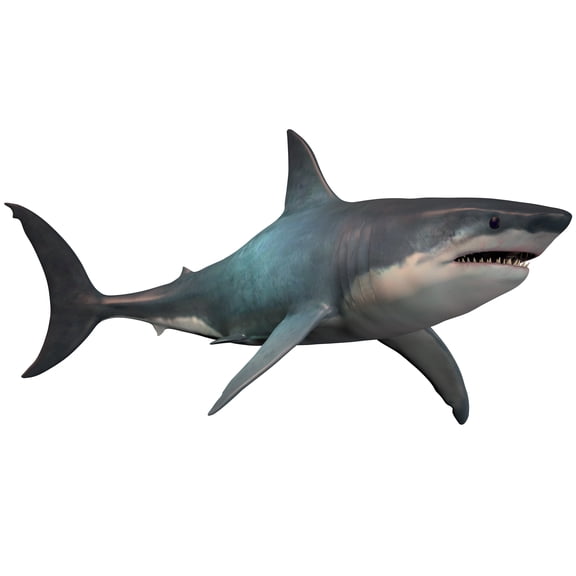 3D Shark Wall Sticker Decal Ocean Predator Design for Kids Room & Bathroom Decor 20x30 Inches