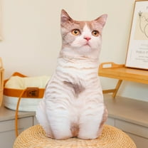 3D Simulation Cat Plush Stuffed Animal Pillow - Soft Cat Plush Pillow - Sofa Chair Home Decor