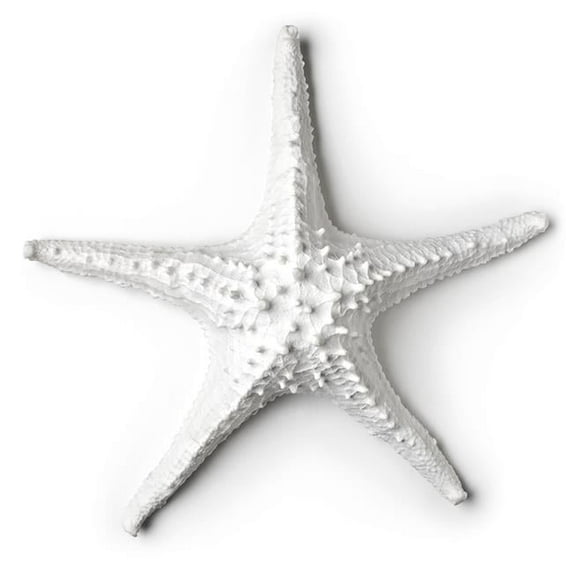 3D Starfish Figurine - White - Large