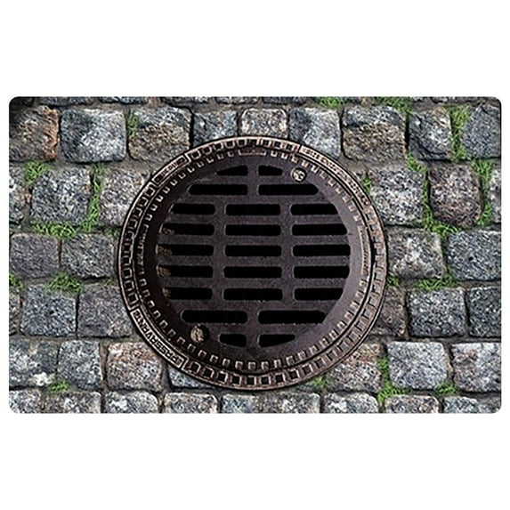 3D Trap Optical Visual Rug 15.75x23.62 Inch Front Door Mat with Brick ...