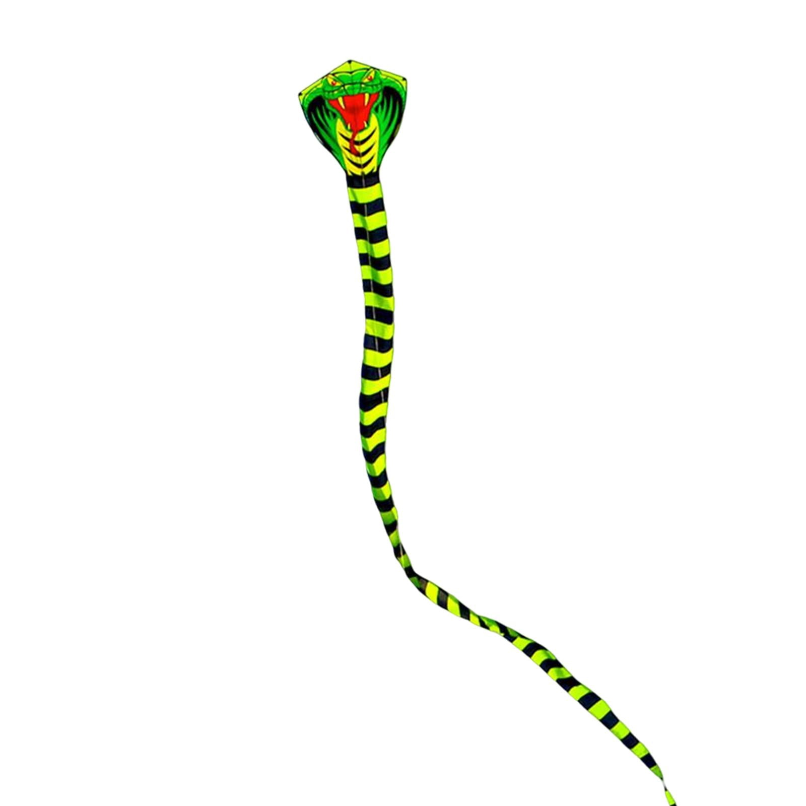 3D for Kids & Adults, Huge Animal with Tail for Beach Park family and
