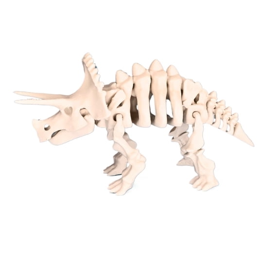 3D printed Triceratops skeleton with movable joints (1 piece)