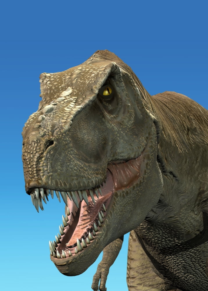 3D rendering of Tyrannosaurus Rex close-up Canvas Art - Leonello CalvettiStocktrek Images (24 x 34)