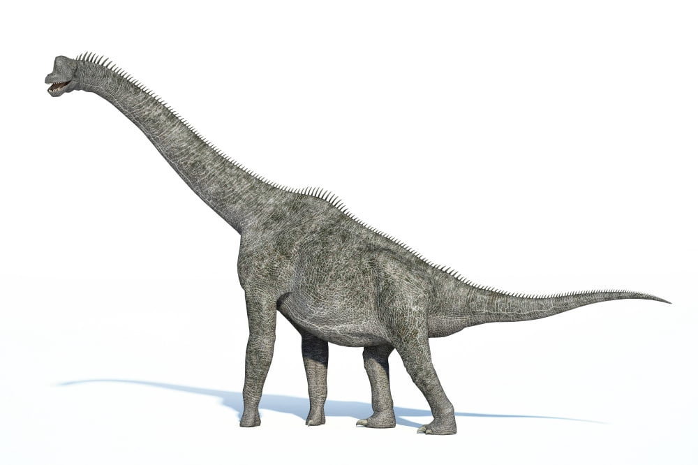 3D rendering of a Brachiosaurus dinosaur Canvas Art - Leonello CalvettiStocktrek Images (35 x 23)