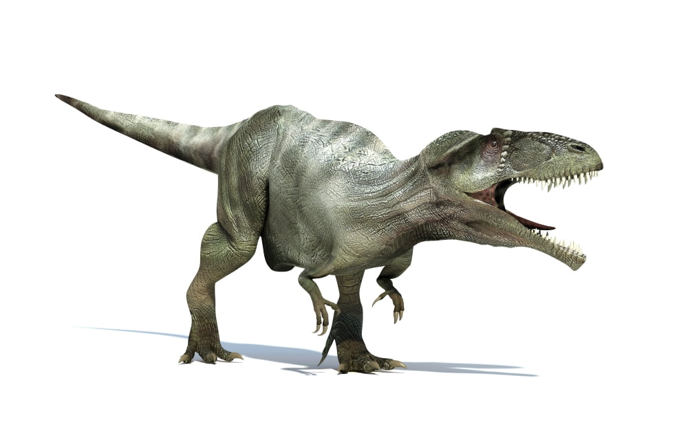 3D rendering of a Giganotosaurus dinosaur Canvas Art - Leonello CalvettiStocktrek Images (18 x 12)