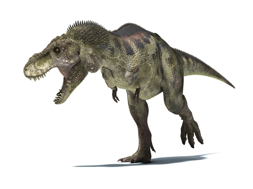 3D rendering of a Tyrannosaurus Rex dinosaur Canvas Art - Leonello CalvettiStocktrek Images (33 x 25)