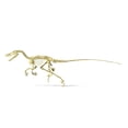 thumbnail image 1 of 3D rendering of a Velociraptor dinosaur skeleton Poster Print, 1 of 2