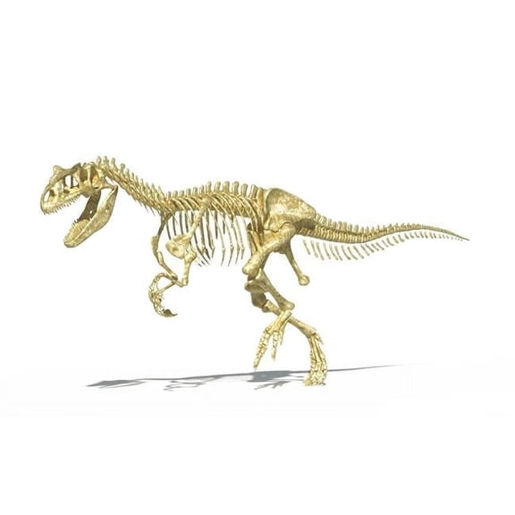 3D rendering of an Allosaurus dinosaur skeleton Poster Print