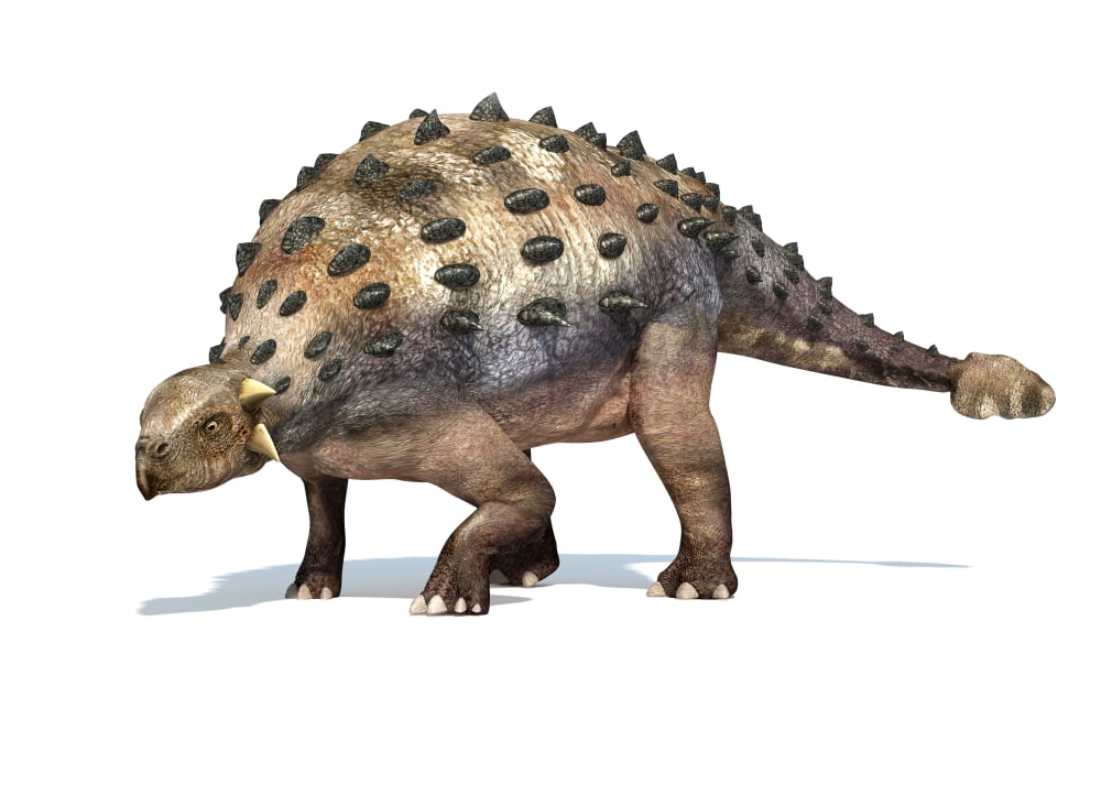 3D rendering of an Ankylosaurus dinosaur Canvas Art - Leonello CalvettiStocktrek Images (17 x 12)