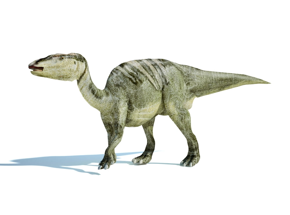 3D rendering of an Edmontosaurus dinosaur Canvas Art - Leonello CalvettiStocktrek Images (33 x 25)