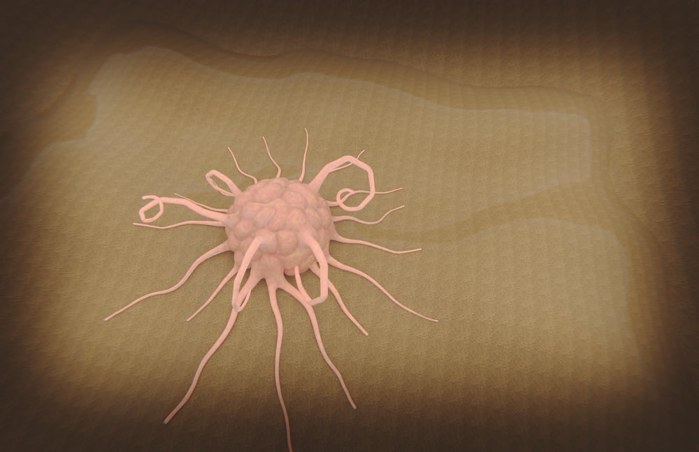 3D rendering of macrophage phagocytosis Canvas Art - Stocktrek Images (18 x 12)