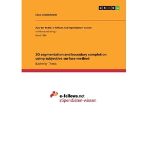 3D segmentation and boundary completion using subjective surface method (Paperback)