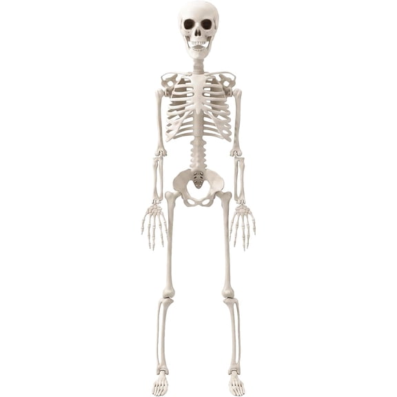 1PC 3FT Halloween Skeleton, Posable Full Body Decoration for Haunted House
