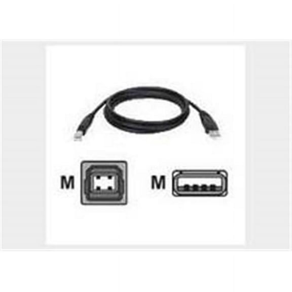 3Ft Usb 2.0 Certified Ab Device Cable