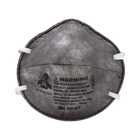 3M 8656ES Latex Paint and Odor Respirator R95