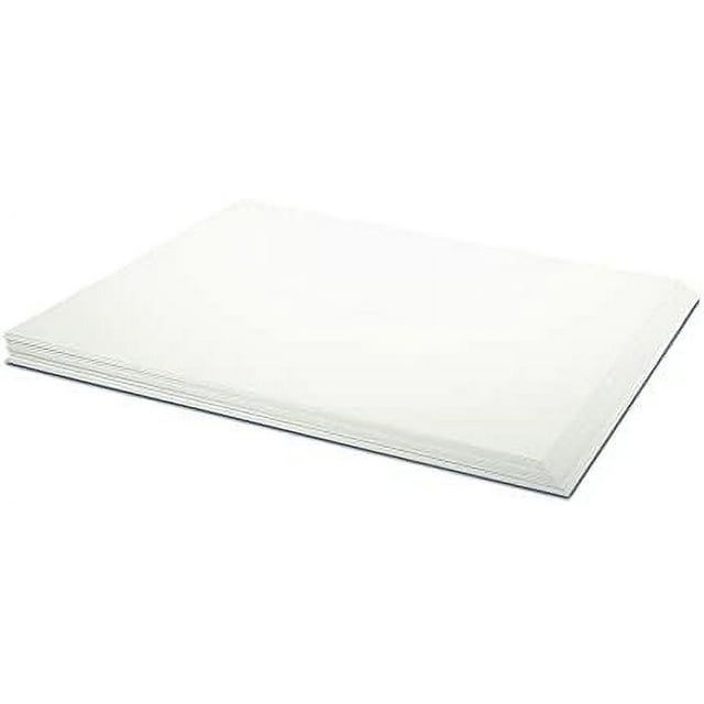 3Mil Premium Double Matte Drafting Mylar Film 11 Inches X 17 Inches 25 Sheet Pack (DPD3