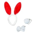 thumbnail image 1 of 3PC Bow Tie Rabbit Ears Headband Bunny Tail Set BWASD Casual Plush Wide Headband Fluffy Hair Clip Cute Comb Easter Party Outfit Funny Red, 1 of 2