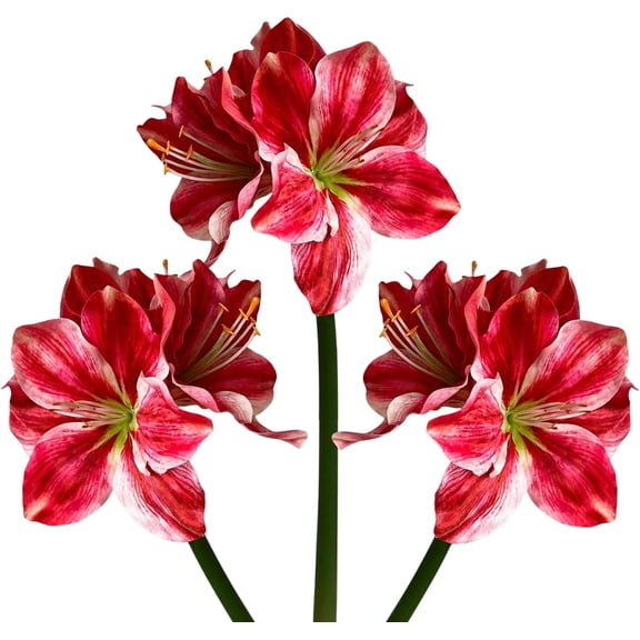 3PCS Amaryllis Artificial Flowers: 17.3 Inch Faux Amaryllis Flowers Stems with 4 Heads, Silk Floral Bouquet Tropical Flowers Fake Plant for Table Centerpiece Wedding Party Arrangements (Red 1)