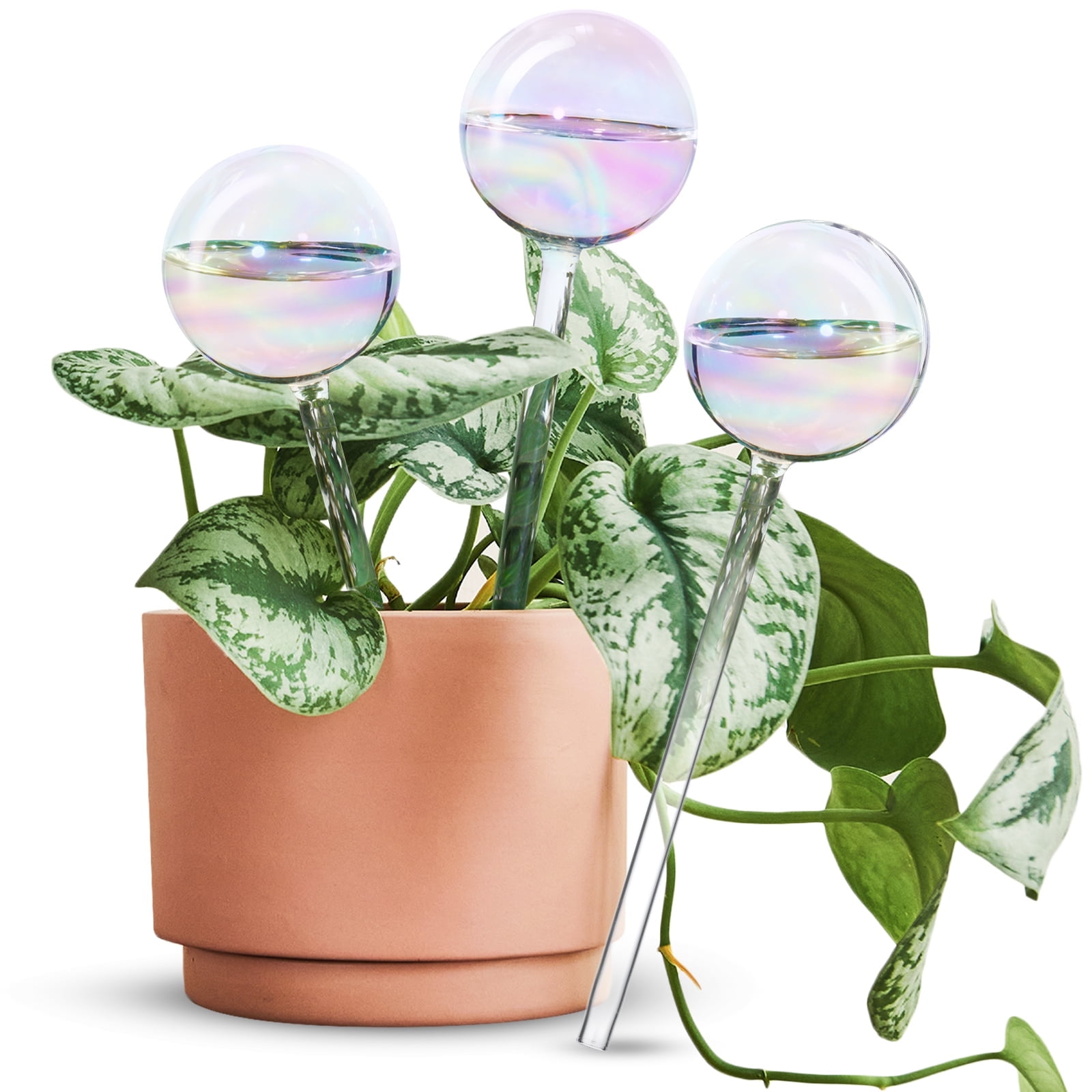 Set of 3 Iridescent Clear Glass Self-Watering Plant Spikes