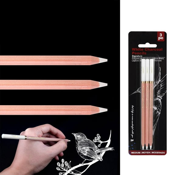 3PCS Professional White Charcoal Pencils - MEEKONK Sketch Highlight White Pencils for Drawing, Sketching, Shading, Blending, White Chalk Pencils for Beginners & Artists