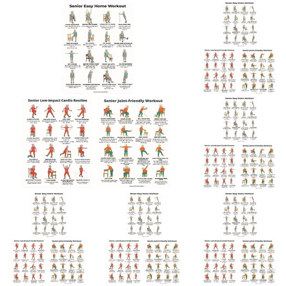 3PCS Tai Chi Chair Workout Chart for Seniors - Chair Tai Chi Exercise Poster for Beginners - Seated Tai Chi for Seniors Workout Guide - Instructional Wall Art for Balance & Flexibility (20 X 25 In)