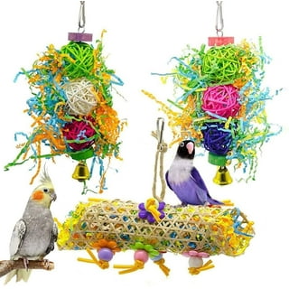 Bird toys walmart hotsell