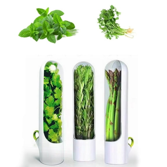 3Pack Cilantro Container for Fridge,White Durable Fresh Herb Keeper for Cilantro,QZS Reusable Fresh Herbs Keeper for Rosemary,Parsley,Basil