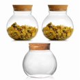 thumbnail image 1 of 3Pack Round Glass Jars With Cork Lid – 17Oz Candy Jar For Tea Coffee Beans Spice, 1 of 6