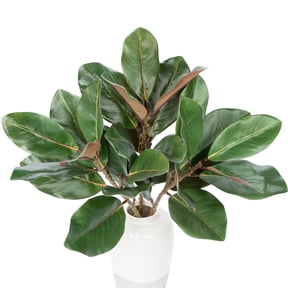GnFlus 3Pcs 22" Magnolia Tree Branches Artificial Leaves Stems Faux Greenery Plants Home Bathroom Table Centerpiece Decor