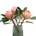thumbnail image 1 of 3Pcs Artificial Protea Cynaroides Flowers, Faux Pink Flower King Protea Fake Flowers for Home Office Wedding Party Table Centerpieces Decor (Pink), 1 of 5