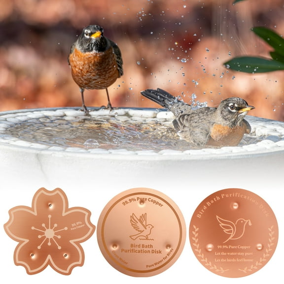 3Pcs Bird Bath Purification Disk 99.99% Pure Copper Outside Birdbath Cleaner Disks 0.6mm Self-Cleaning Design Keeps Water Fresh Year-Round Fit for Outdoor Birdbaths & Bowls Bird Bath Fountains etc