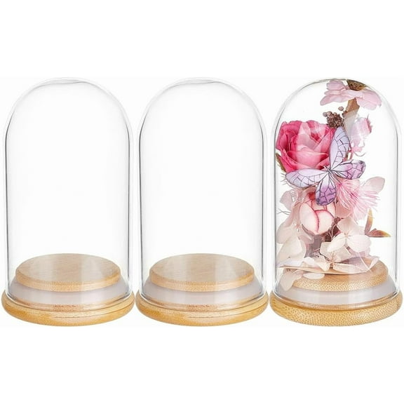 3Pcs Dome Decorative Jars 4x2.3inch Glass Display Dome Cloche Glass Bell Jar with Solid Wood Base for Flower Storage Specimens Crafts Decorations Clear