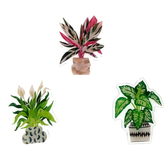 3Pcs Double-sided Pattern Acrylic Fridge Magnets - Green Plants, Excellent Indoor Decorations, Suitable for Whiteboards, Cabinets, Lockers, Classrooms, Kitchens, Office Cabinets and Dishwashers