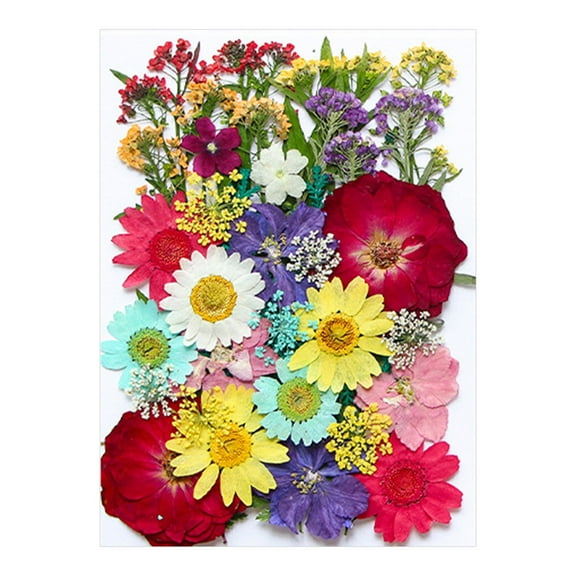 3Pcs Dried Flowers For Crafts under $5! kkbbma Dried Pressed Flowers for Resin Art, Embossed Floral Kit Candles Crafts Supplies, Natural Botanical Decorations DIY Jewelry Making