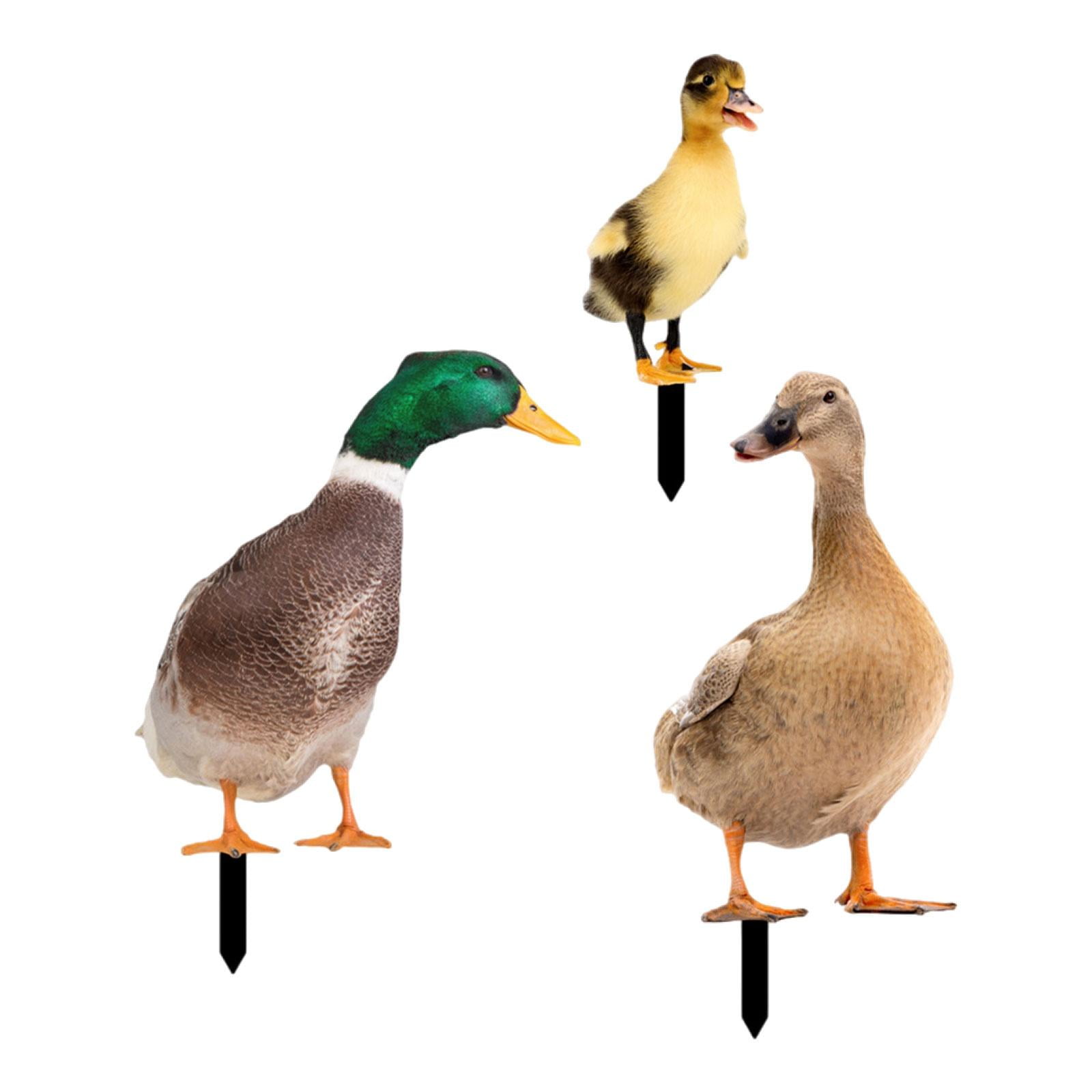 3Pcs Duck Animal Statue Stakes, Garden Stakes Decorative, Floor Decoration Ornaments, Duck Garden Statue for Porch Patio Yard Art Sculpture