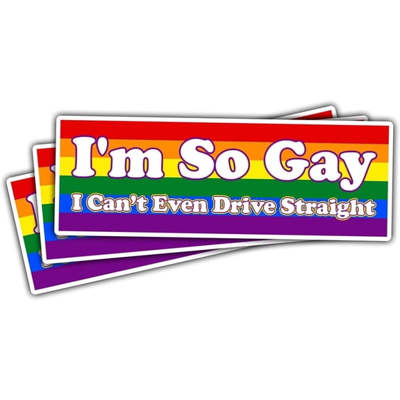 3Pcs I'm So Gay I Can't Even Drive Straight Vinyl Sticker, Rainbow LGBT Stickers, LGBT Flag Pride Bumper Decal 3"