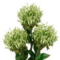 thumbnail image 1 of 3Pcs Green Artificial Flowers Mums Spider Mum Flower 28.3'' Long Stem Fake Chrysanthemum Flowers Leucospermum Cordifolium Arrangement Faux Pincushion Flower for Office Bouquet Room Home Decor, 1 of 6