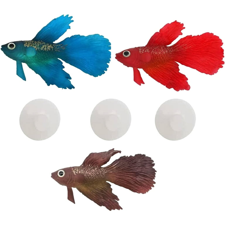 Wish aquarium products online