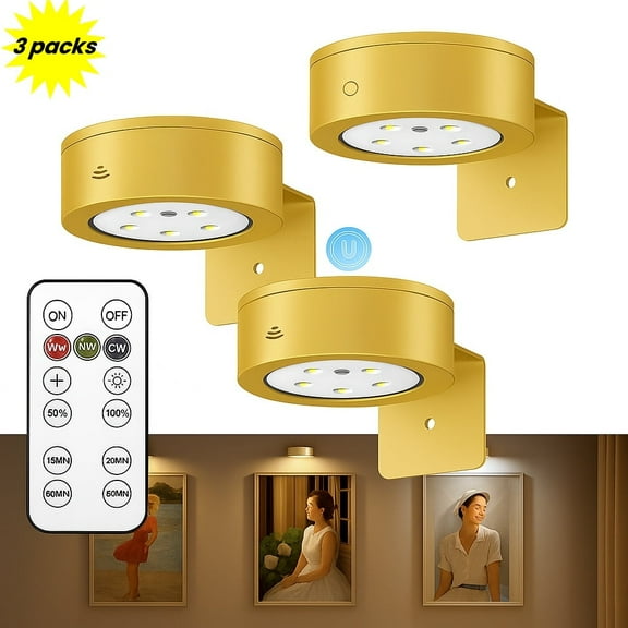 PANGTON VILLA Wireless LED Picture Light with Remote, Dimmable Timer, 3 Modes, Battery Operated Art Display Light