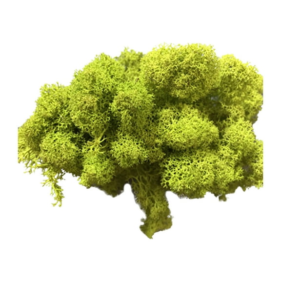 3Pcs Preserved Green Moss for Decor! Usloyux Fake Moss Grass for Floral Arrangements DIY Crafts, Realistic Look for Terrarium Fairy Garden, Home Living Room Wall Decoration, 20g Bag