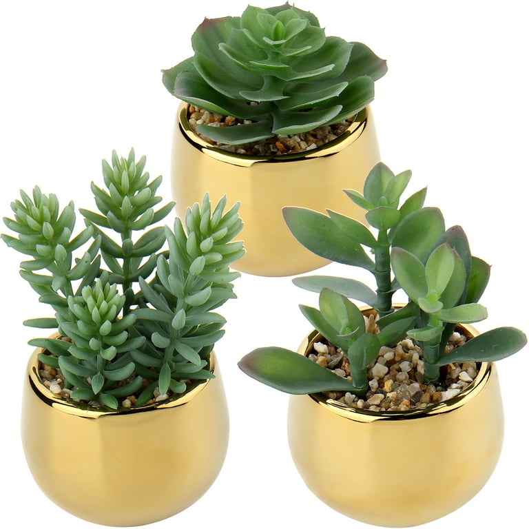 3pcs Small Succulents Artificial Plants with Gold Ceramic Pot Cute Mini Fake Potted Plants Decor for Modern Home
