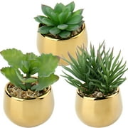 3Pcs Smaller Succulents Artificial Plants with Gold Ceramic Pot Cute Mini Fake Potted Plants Decor for Modern Home