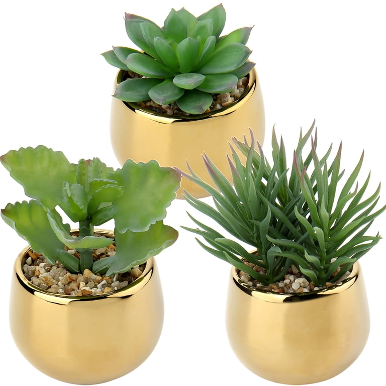 3pcs Smaller Succulents Artificial Plants with Gold Ceramic Pot Cute Mini Fake Potted Plants Decor for Modern Home