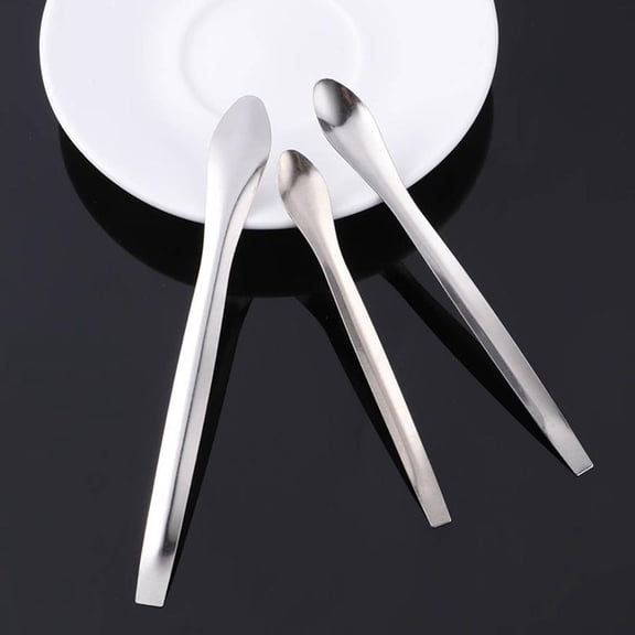 3Pcs Stainless Steel Medicine Spoons Sampling Ladles for Laboratory Measuring and Mixing Plated Silver