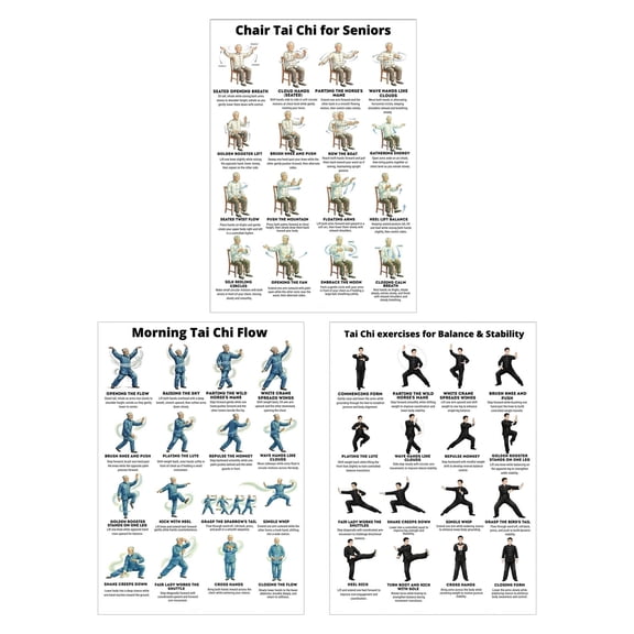 3Pcs Tai Chi Chair Workout Chart Poster Print Seated Exercises for Beginners and Seniors Canvas Wall Art Living Room Bedroom Home Gym Decor,8*10Inch