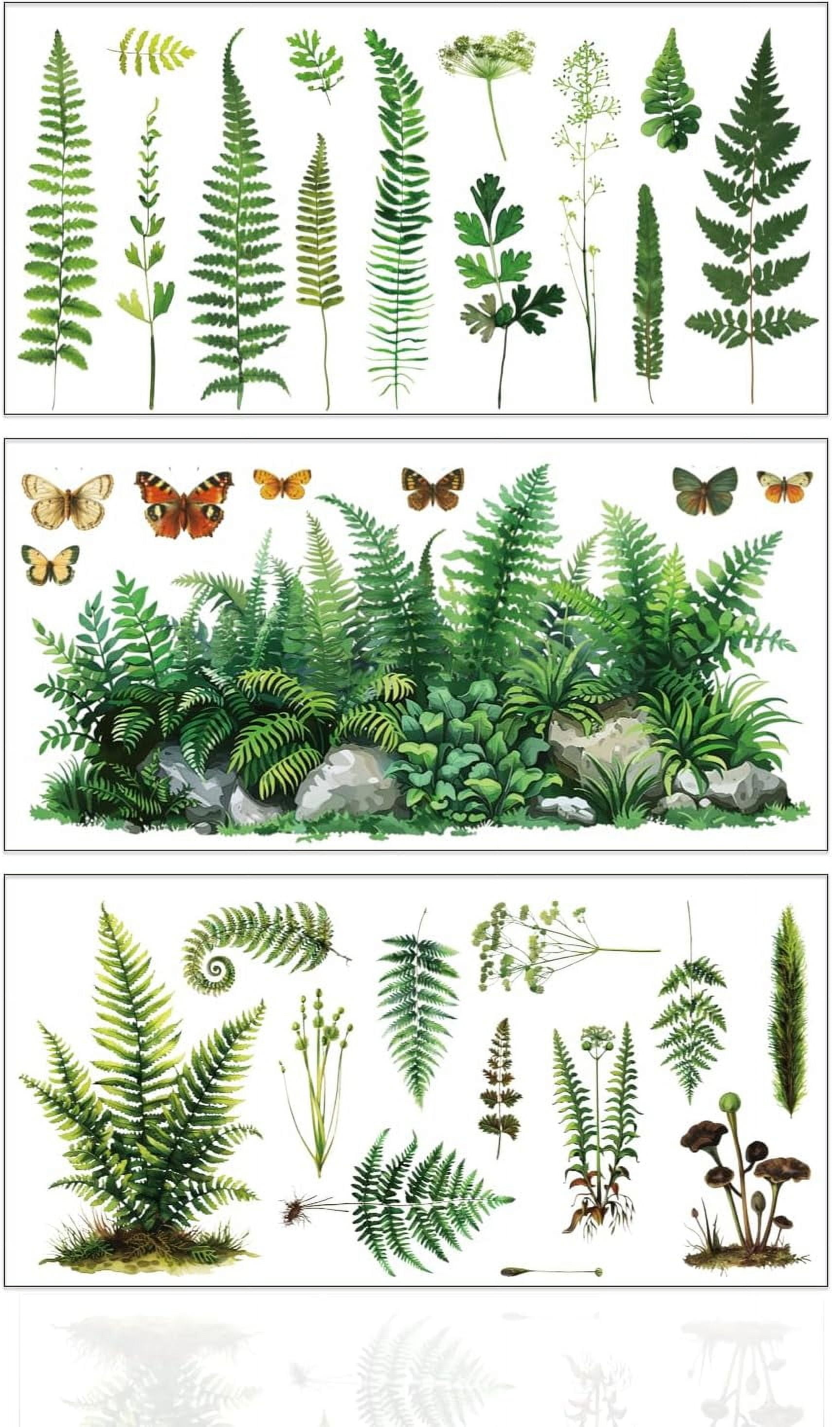 Leave Transfer Graphics 3Pcs Vintage Plants Furniture Transfer 5.9x11.8inch Fern Butterfly ...