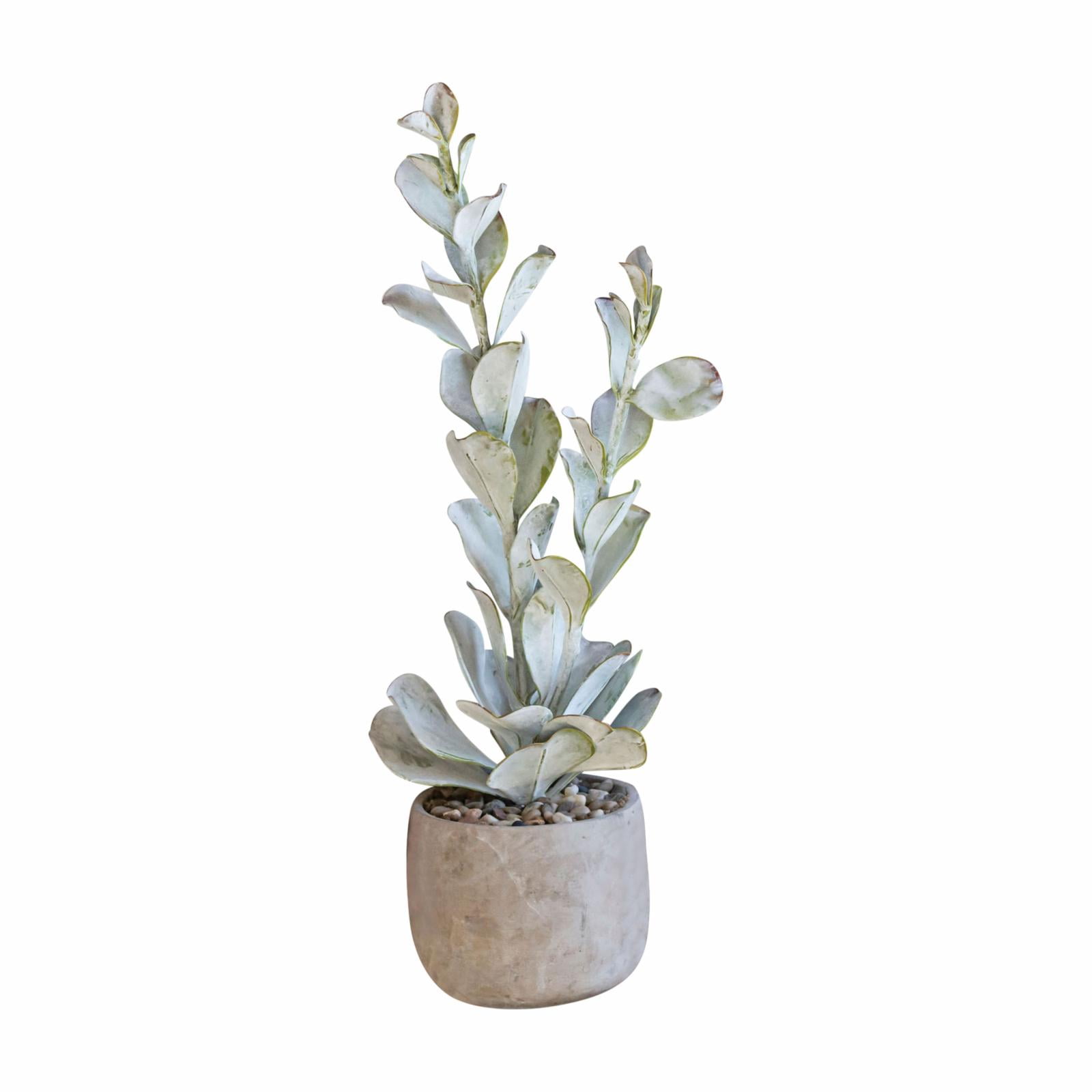 24'' Lifelike Tabletop Faux Succulent in Textured Cement Pot