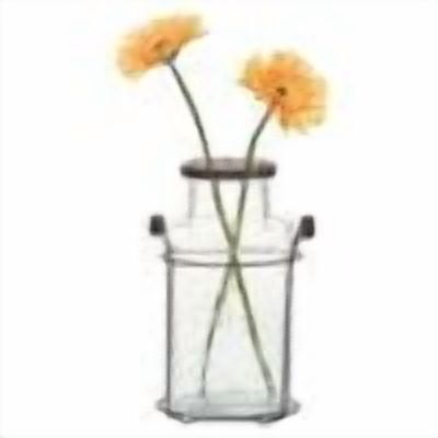 Creative Co-Op Glass Vase in Metal Stand with Metal Frog Lid, Clear