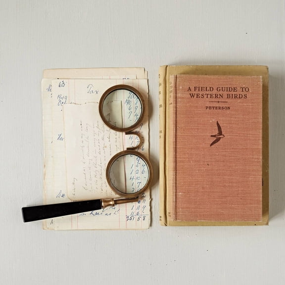 3R Studios Spectacle Magnifying Glass